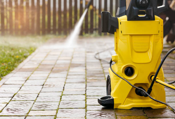 Best Animal Enclosure Cleaning  in Dixmoor, IL